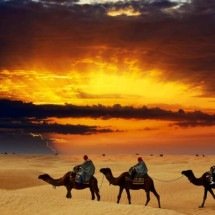 A ponte invisível entre Saara e Amazônia: como a poeira do deserto fertiliza a maior floresta tropical do planeta - Portal Giro 10