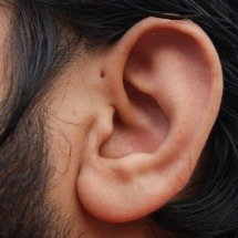 Zumbido no ouvido: como o cérebro cria um som fantasma após danos na cóclea e quando o sintoma exige atenção -  Shutterstock