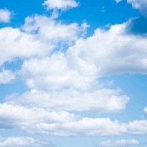 O cérebro que enxerga rostos em tudo: como a pareidolia facial revela o viés de sobrevivência do reconhecimento humano - Portal Giro 10