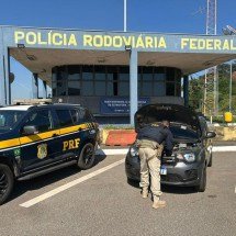 Grande BH: PRF recupera carro furtado e prende motorista na BR-381 - Divulga&ccedil;&atilde;o PRF