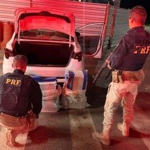 MG: motorista é preso com 130 kg de maconha na BR-262 - PRF/Reprodução