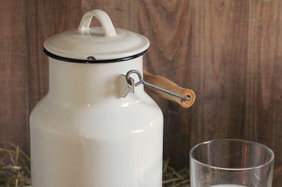 Leite -  (crédito: Imagem de NoName_13 por Pixabay)