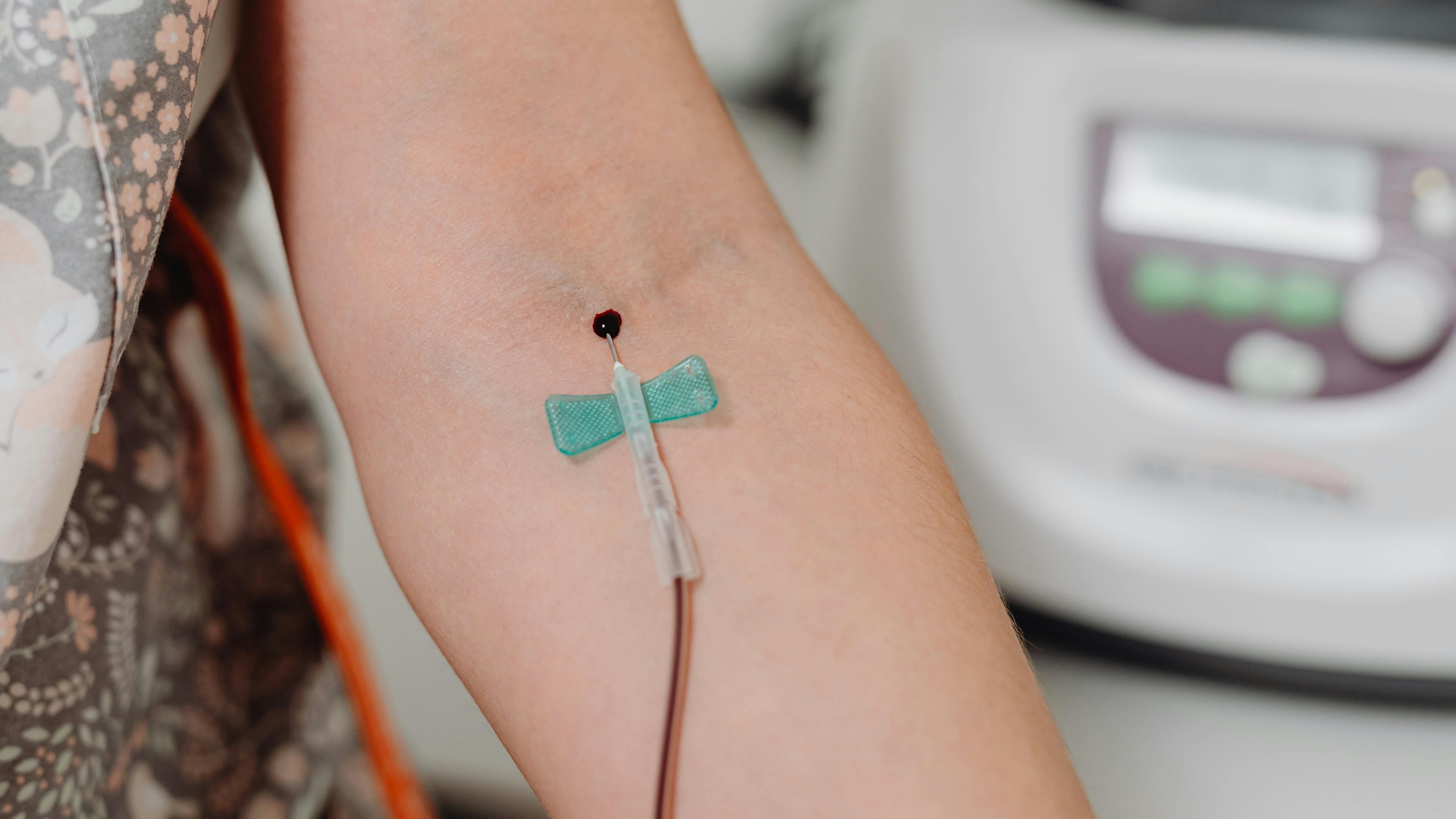 Exames de sangue s&atilde;o fundamentais para o diagn&oacute;stico precoce da leucemia, permitindo a identifica&ccedil;&atilde;o dos sinais da doen&ccedil;a. -  (crédito: Pexels)