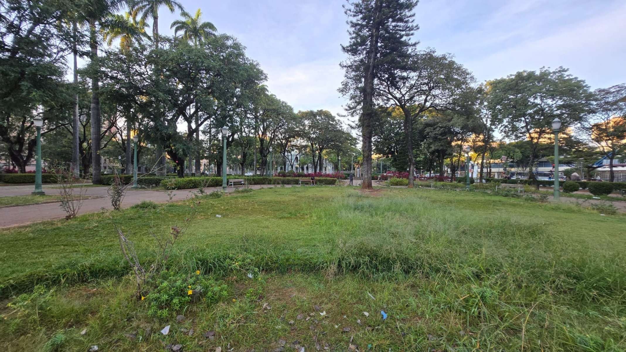 O mato alto tomou conta do belo paisagismo da Praça da Liberdade-Carlos Altman/EM