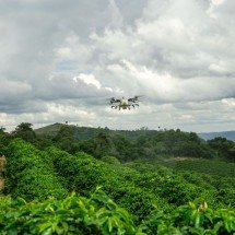 Relatório global DJI comprova benefício ambiental dos drones - DINO