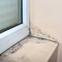 Chega de mofo: soluções práticas para limpar paredes e tetos, o que mantém o ambiente saudável - Portal Giro 10