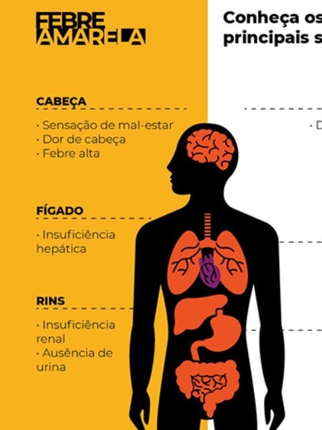 Febre amarela sintomas 