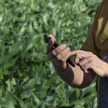 Agrishow: DJI Agriculture apresenta o DJI SmartFarm - DINO