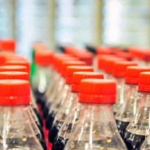 A ciência do primeiro gole: memória do paladar, dopamina e por que o refrigerante gelado parece mais intenso na primeira sensação - Portal Giro 10