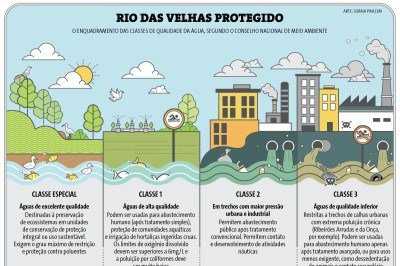Editoria de arte -  (crédito: Soraia Piva)