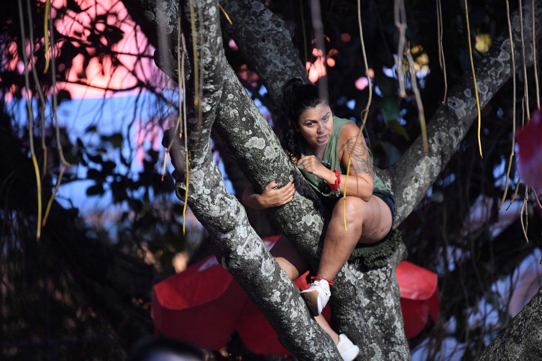 Fã sobe em árvore para tentar melhor visão do show