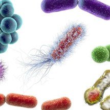 Composto usado em cosméticos surpreende cientistas ao mostrar potencial contra bactérias resistentes a antibióticos - Portal Giro 10