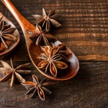Como cultivar anis estrelado em casa - Wemystic