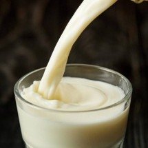 Entre mitos e ciência: o papel do leite na alimentação dos adultos e suas alternativas nutricionais - Portal Giro 10