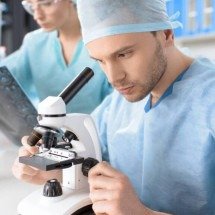 Estudo revela como animais que regeneram membros podem inspirar novas formas de tratamento em humanos - Portal Giro 10