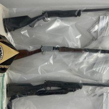 Após denúncia de caça ilegal, homem é preso com três espingardas  - Divulga&ccedil;&atilde;o PMMG