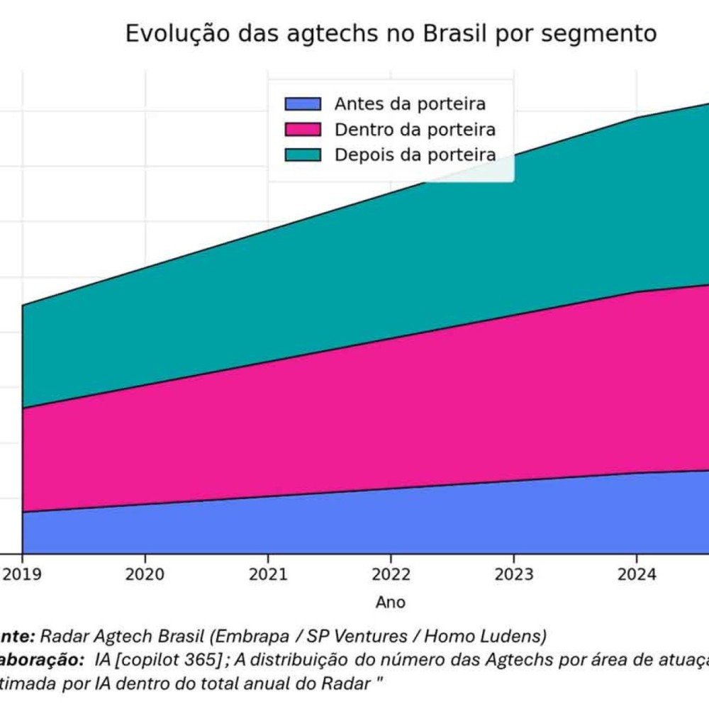 "Com brasileiro não há quem possa"