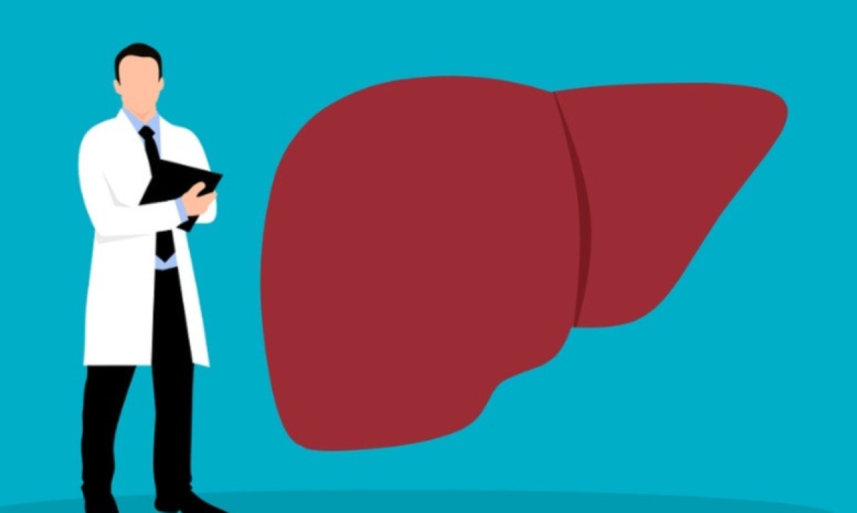 Doenças do fígado podem causar complicações graves como cirrose, falência hepática, hipertensão portal, ascite e câncer. - (crédito: Pixabay)