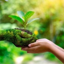 Consciência ecológica rege o comportamento dos ecoturistas -  sarayut_sy - stock.adobe.com