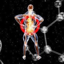 Estudo identifica rede de autoanticorpos em doenças neurodegenerativas - (imagem: Julien Tromeur/Pixabay)
