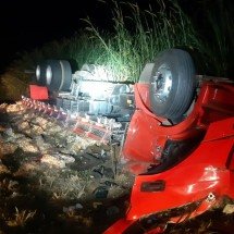 Caminhão de batatas tomba na BR-262 e motorista fica em estado grave em MG - PRF/Reprodução