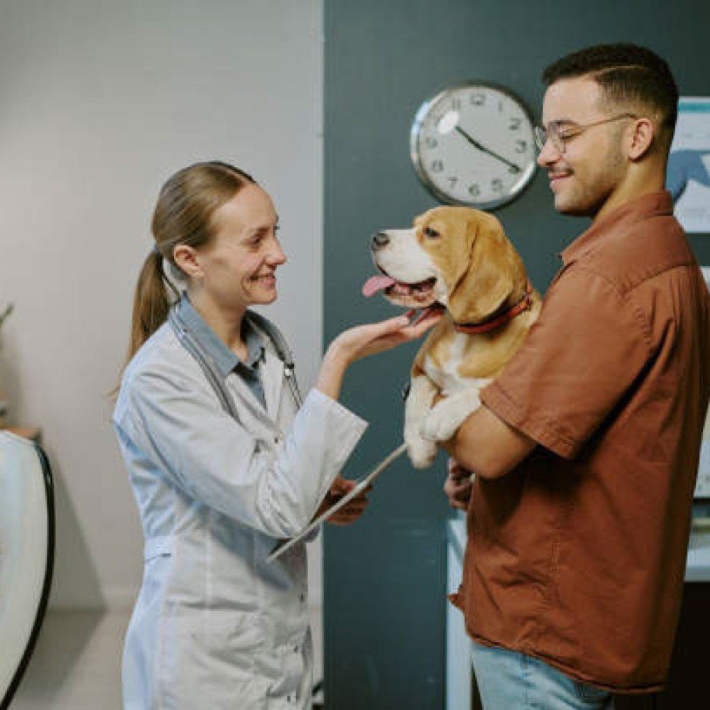 Cardiopatias em cães: 5 mitos e verdades que o responsável precisa conhecer