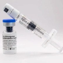 Butantan vai produzir vacina nacional contra chikungunya - Butantã/Divulgação
