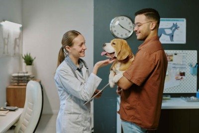 As doenças cardíacas em cães ainda geram dúvidas entre os responsáveis pelos animais -  (crédito: Vetnil/Divulgação )