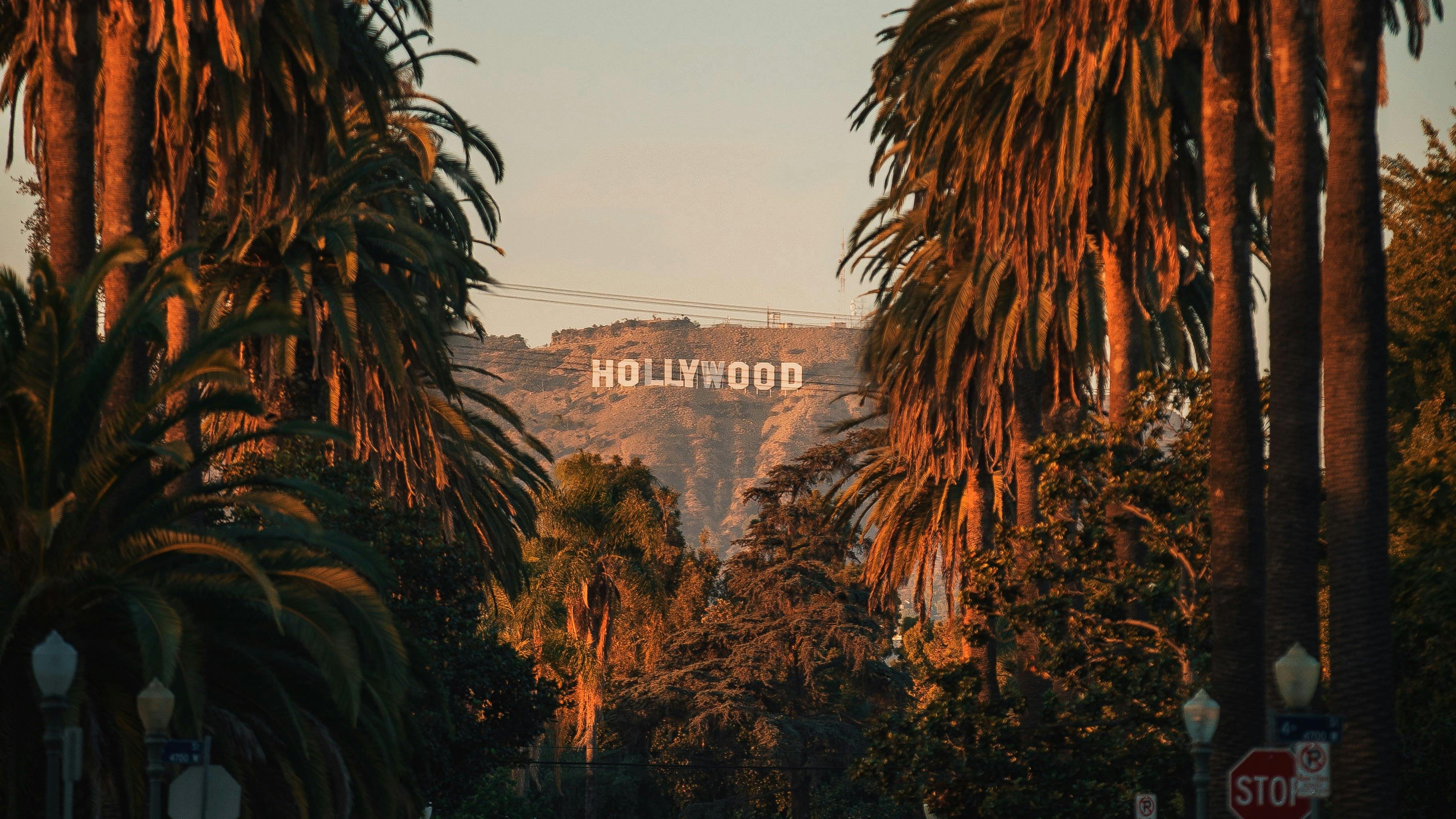 O famoso letreiro de Hollywood, símbolo da indústria cinematográfica e palco de estrelas que quase brilharam em papéis icônicos. - (crédito: Pexels/ Roberto Nickson)