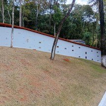 Setor funerário se adapta à despedida humanizada de pets - DINO