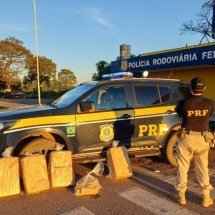 Homem é preso após pular de carro em movimento na BR-262  - PRF