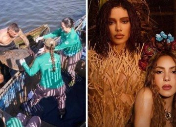 Pesquisadores homenagearam Anitta e Shakira em nova descoberta de tartarugas-cabe&ccedil;udas -  (crédito: Reprodu&ccedil;&atilde;o/Instagram)
