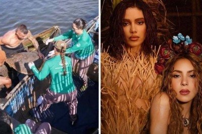 Pesquisadores homenagearam Anitta e Shakira em nova descoberta de tartarugas-cabe&ccedil;udas -  (crédito: Reprodu&ccedil;&atilde;o/Instagram)