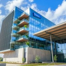 Elanco cresce 15% no 1º trimestre de 2026 e eleva projeções - DINO