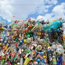 O impacto do plástico no meio ambiente e as soluções simples que ajudam a diminuir resíduos dentro de casa - Portal Giro 10