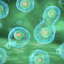 Como robôs microscópicos programados com DNA podem atacar tumores sem destruir tecidos saudáveis - Portal Giro 10