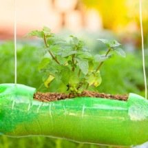 Como garrafas plásticas podem ser transformadas em peças decorativas criativas para casas, jardins e varandas - Portal Giro 10