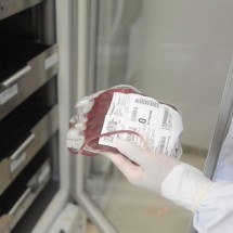 Estoque crítico de sangue adia cirurgias em hospital de BH   - Alexandre Guzanshe/EM/D.A Press