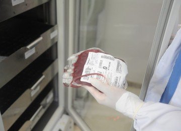 Hospital da Baleia, enfrenta escassez no estoque de sangue. Nos últimos 7 dias, 5 cirurgias eletivas foram canceladas -  (crédito: Alexandre Guzanshe/EM/D.A Press)