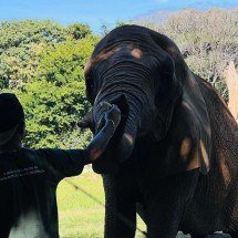 Zoo de BH revela estratégia para você ver os bichos bem de pertinho
