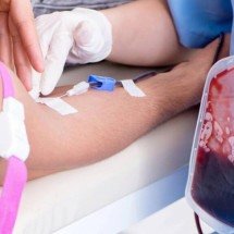 Do solo à ciência: a busca por antibióticos em florestas e o papel da biodiversidade no combate à resistência bacteriana - Portal Giro 10