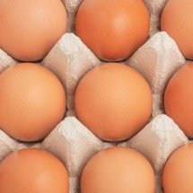 Nem mais fortes, nem mais saudáveis: o que realmente muda entre ovos brancos e marrons - Portal Giro 10