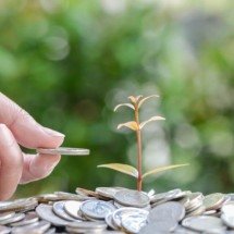 Saiba como sintonizar a energia da abundância - Wemystic