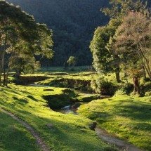 Itajaí cresce e atrai moradores: entenda o contraste entre indústria e turismo - Portal Giro 10