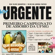 "Que assobio é esse?": A moda que saiu do celular e invadiu a UFMG - Redes Sociais/Reprodução
