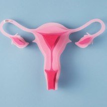 Aplicação de melatonina aumenta eficácia de transplante de tecido ovariano - Freepik/Magnific