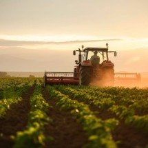 Tensões no Oriente Médio trazem desafios para o agronegócio - DINO
