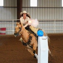 Cowboy Mounted Shooting é lançado oficialmente no Brasil - DINO