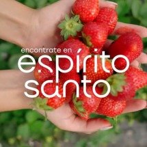 ES lança marca para fortalecer Estado como destino turístico - DINO