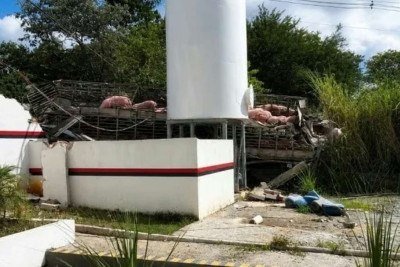 Acidente aconteceu em São José da Lapa; motorista sobreviveu e moradores registraram cenário de destruição com animais espalhados pela rua -  (crédito: Reprodução/CBMMG)